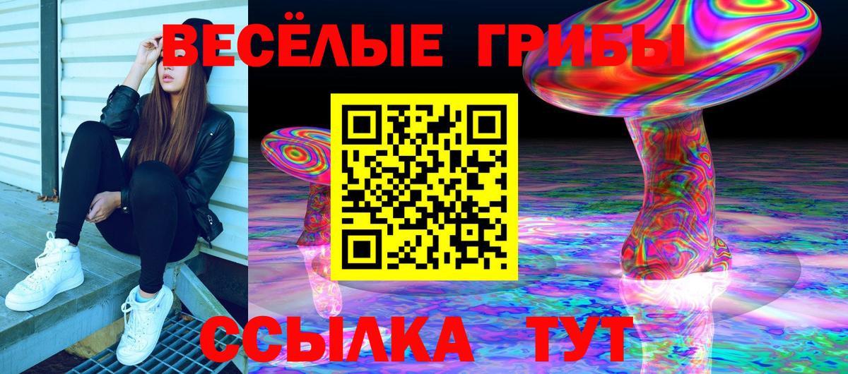 Псилоцибиновые грибы MAGIC MUSHROOMS  Псилоцибиновые грибы мухоморы  Обнинск  Вход с VPN 